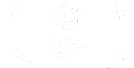 BROKEN STDIOS
